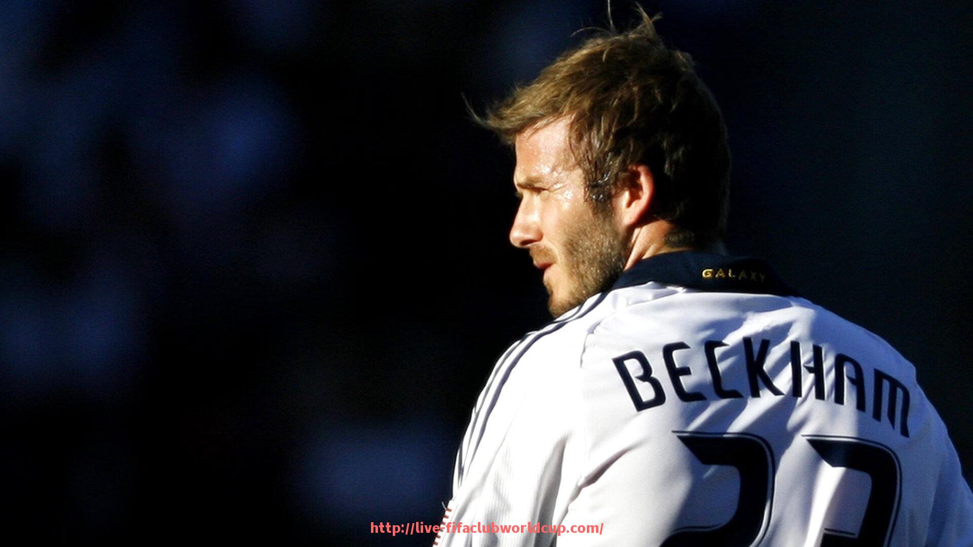 世俱杯直播-健身器材的功能介绍及正确使用技巧