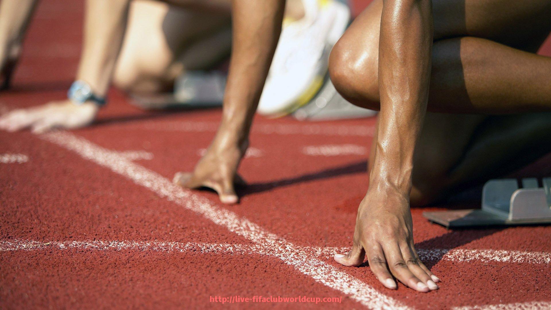 世俱杯直播-健身器材的功能介绍及正确使用技巧